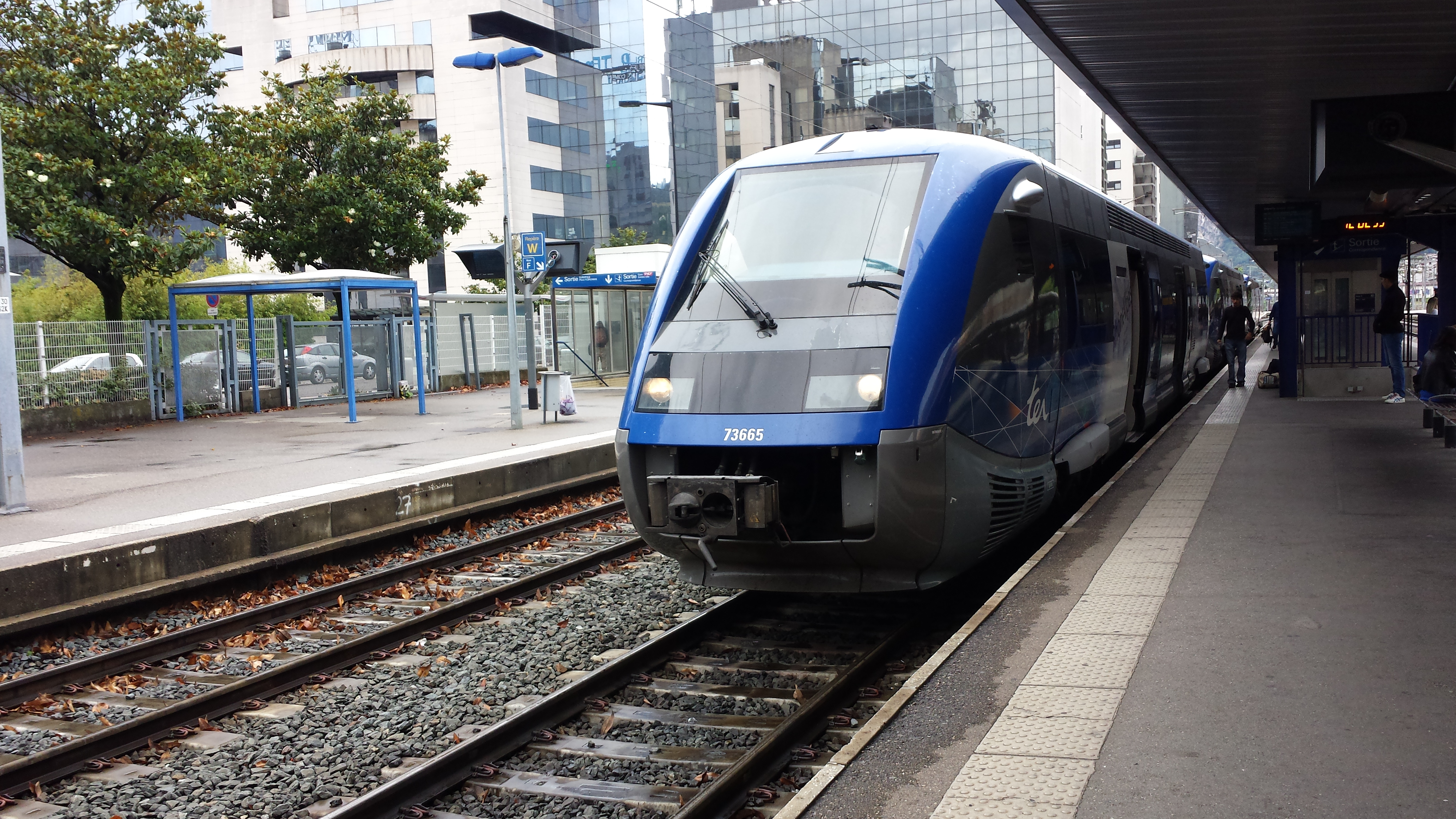 ligne TER Grenoble – Gap : tRAintamarre en gare de Lus !