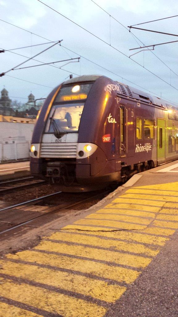 TER-Gare-de-Grenoble