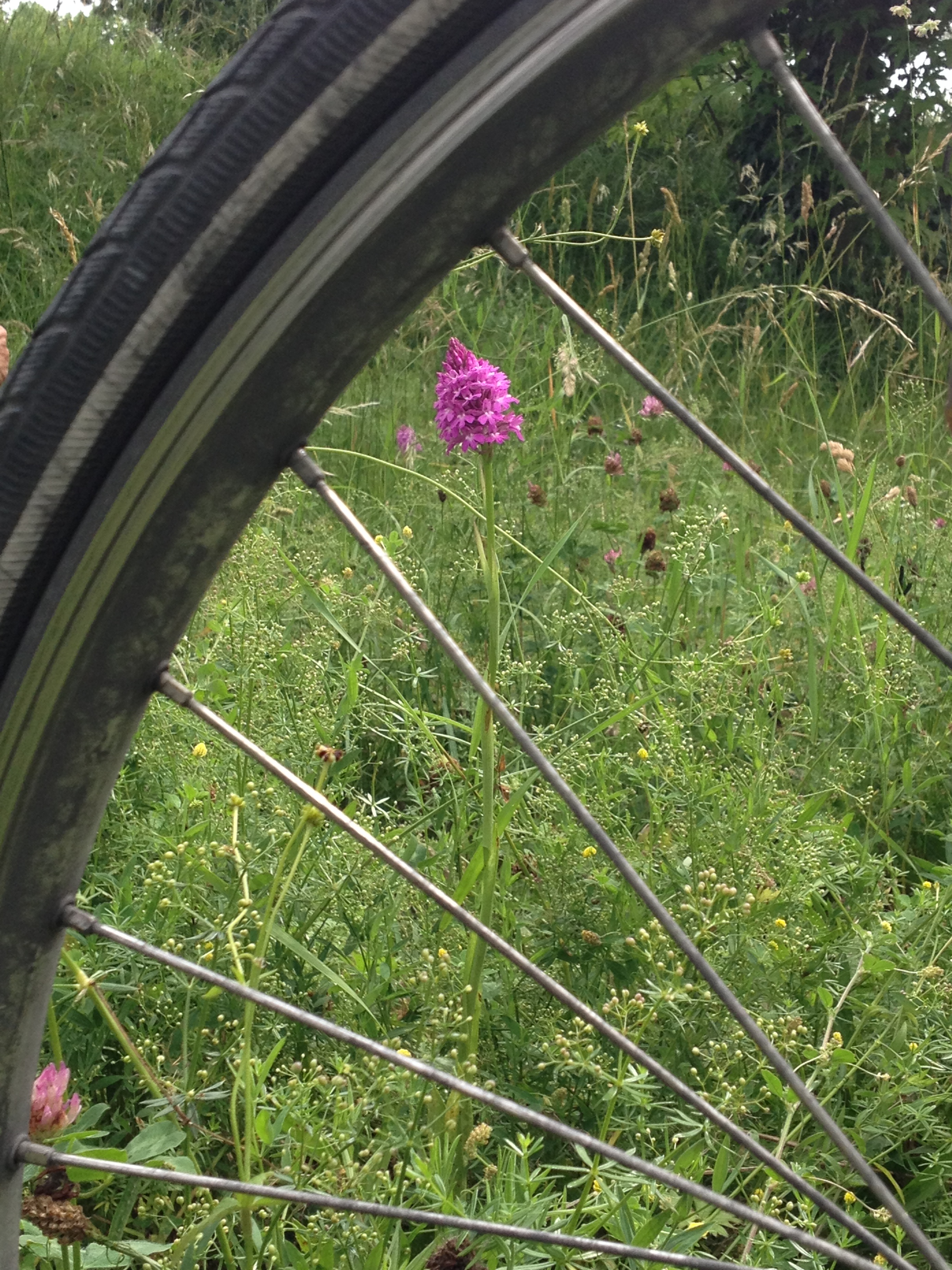 Sortie vélo-bota : On remet ça !! Mercredis 19 et 26 septembre de 14h à 17H