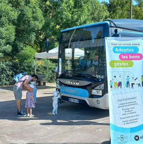 angle mort photo Mreso